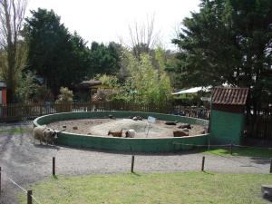 Mini-Ferme