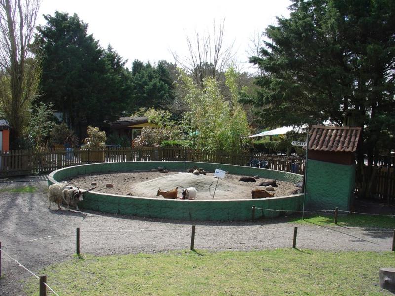 Mini-Ferme