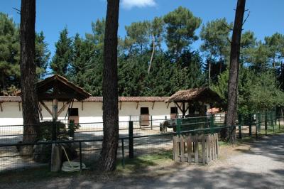 Ferme - 2008