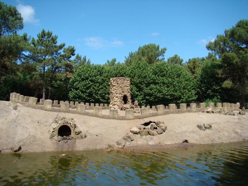Hamadryas