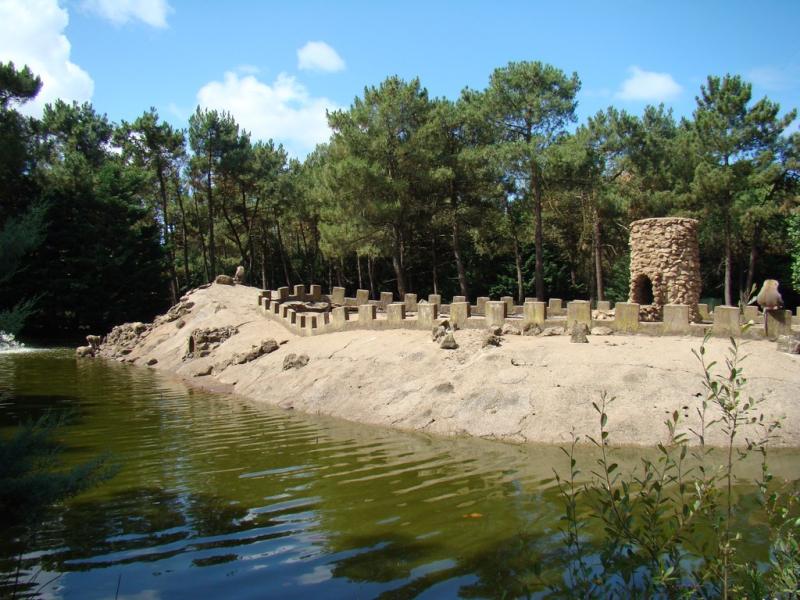 Hamadryas