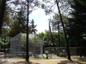 Panthère