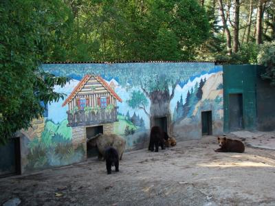 Ours noir - Ours brun - 2008