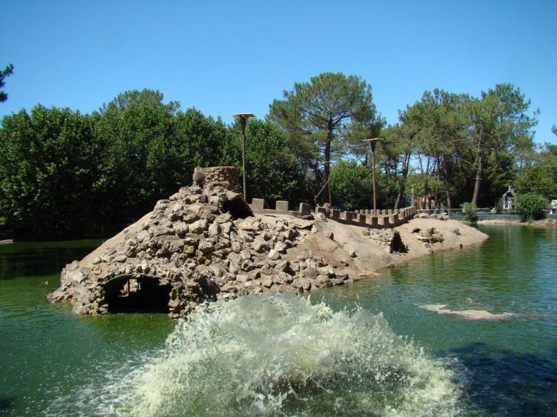 Hamadryas
