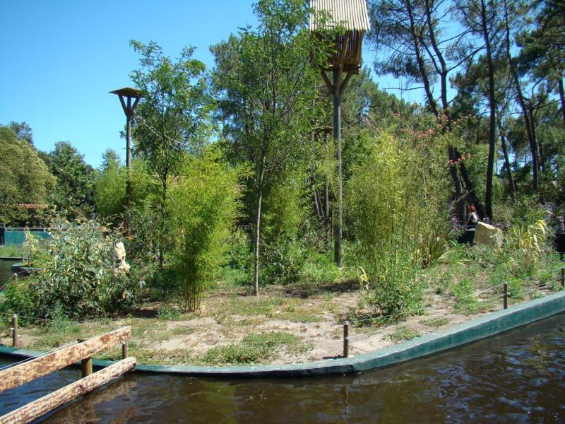 Saïmiri
