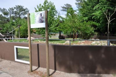 Coendou - Ibis sacré - 2014