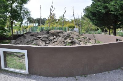 Loutre d'Asie - 2014