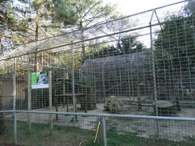 Panthère des neiges - 2014