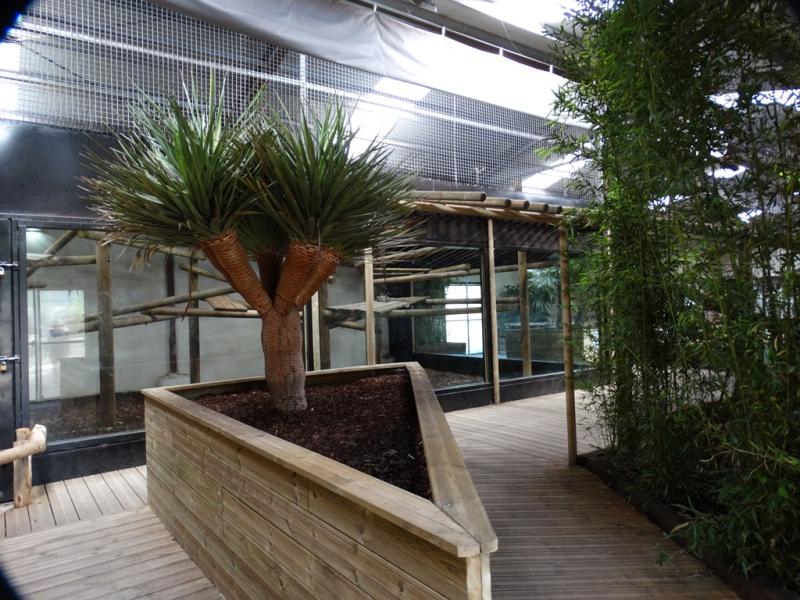 Loge des rhinoceros indien