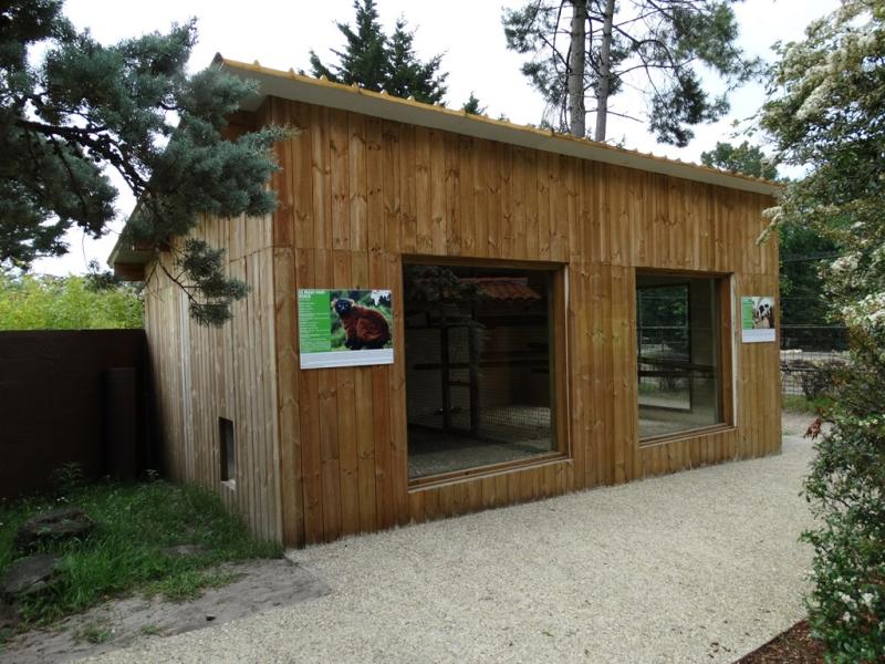 Lémuriens