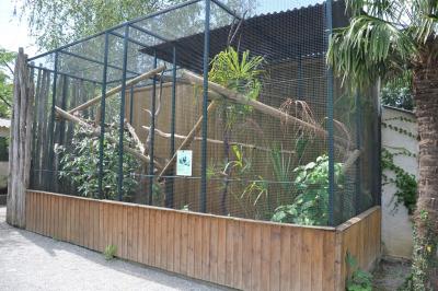 Lémur à front roux - 2013