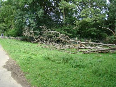 Parc kangourous et maras - 2005