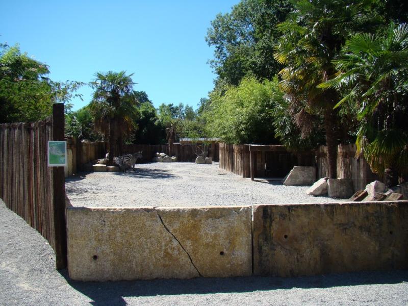 Zébre de Grant