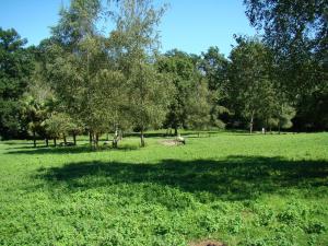 Parc kangourous et maras