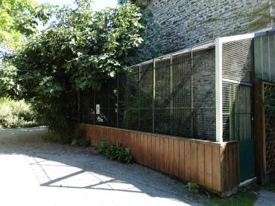 Hibou de Grant - 2016