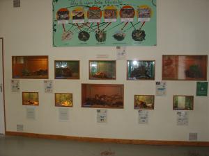 Vivarium