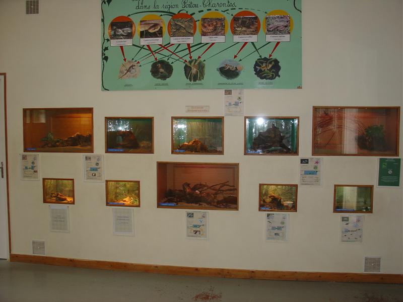 Vivarium