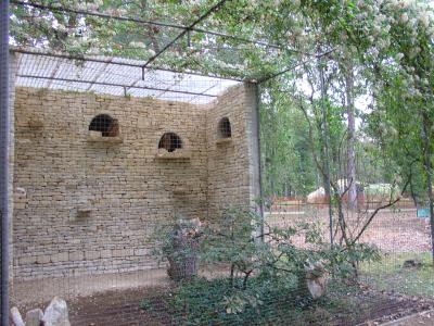 Hibou Grand-duc - 2004