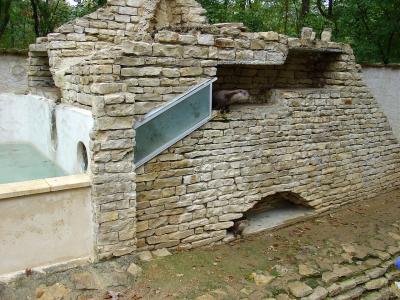 Loutre d'Europe - 2004