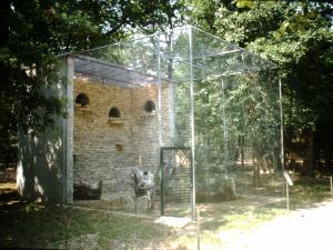 Buse variable