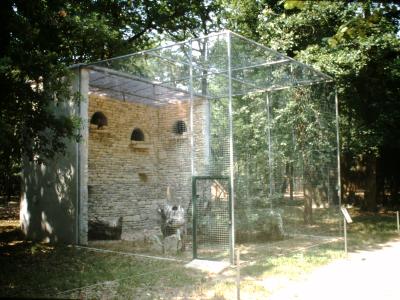 Buse variable - 2004