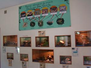 Vivarium