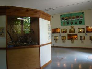 Vivarium