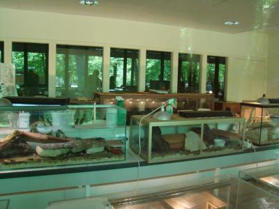 Laboratoire - Nurserie - 2009