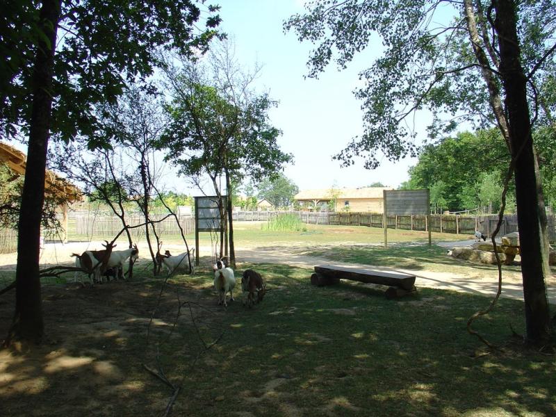 Ferme