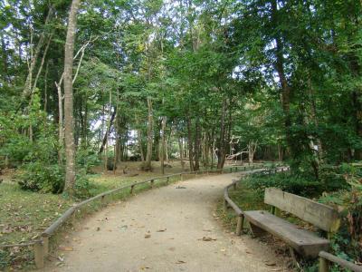 Macaque de Barbarie - 2005