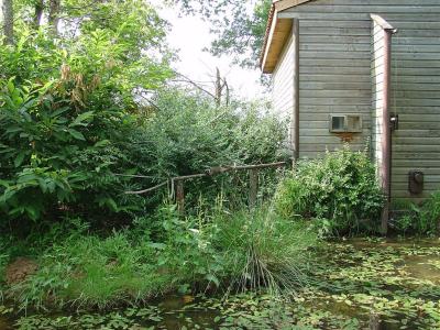 Tamarin pinché - Saki à face blanche - 2005