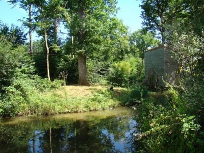 Atèle à face rouge - 2011