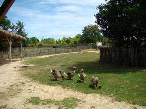 La petite ferme