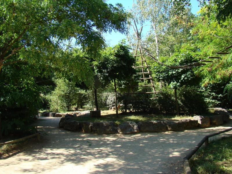 Saïmiri