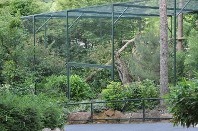 Chat pécheur - 2014