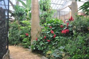 La serre tropicale des oiseaux