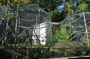 Volières singes Bea