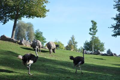 Plaine africaine - 2014