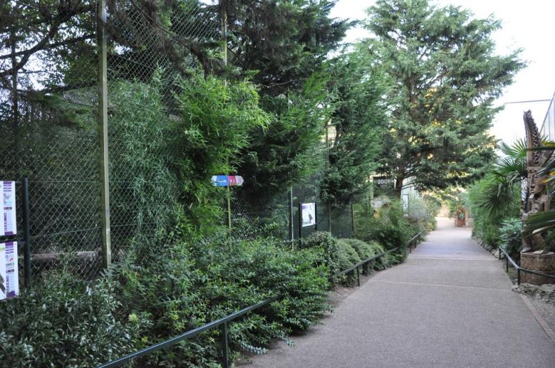 Volières oiseaux