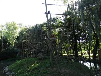 Macaque ouandérou - 2014