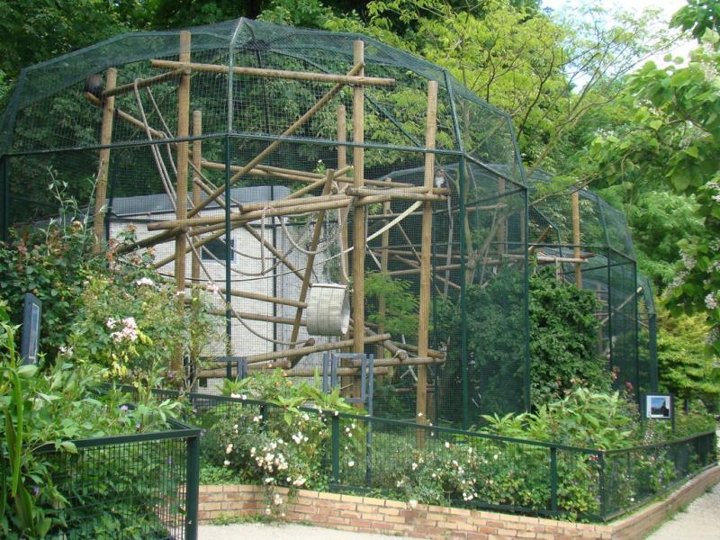 Volières des singes