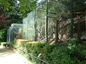 Volières des oiseaux