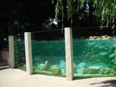 Loutre d'Asie - 2008