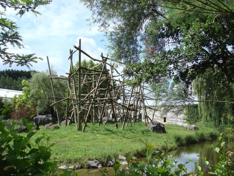 Chimpanzé
