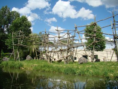 Orang-outang - Gibbon lar - 2008