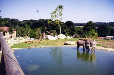 Plaine africaine - 2005