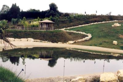 Eléphant d'Afrique - 2005