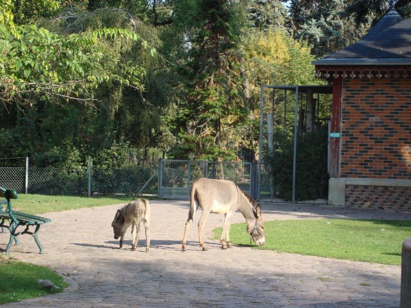 La petite ferme
