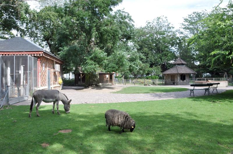 La petite ferme