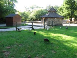 La petite ferme